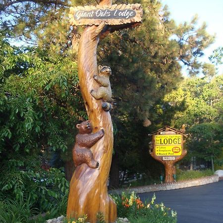 Giant Oaks Lodge Running Springs ภายนอก รูปภาพ